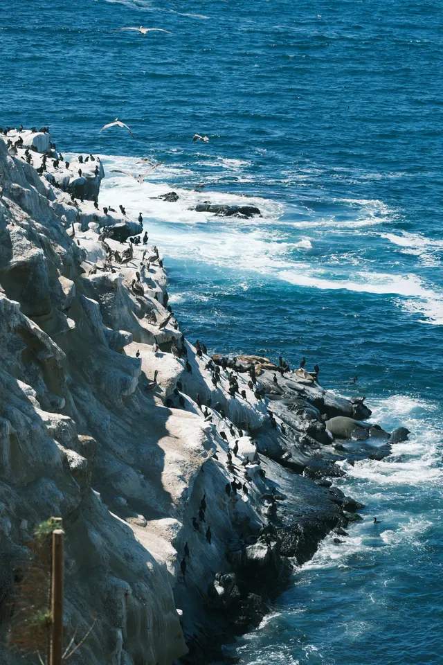San Diego: La Jolla coast