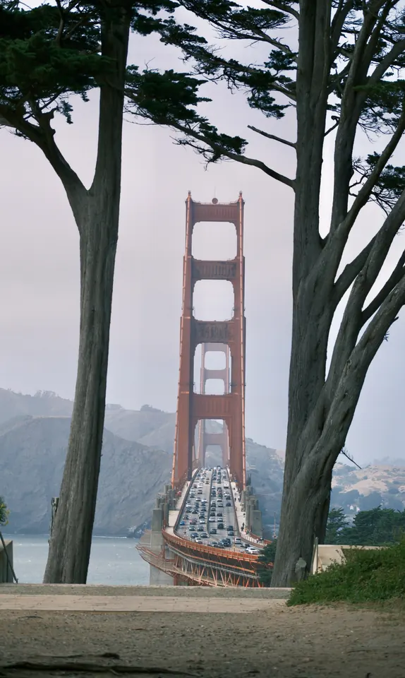 San Francisco: Golden Gate through the trees
